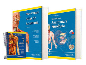 GILROY PROMETHEUS ATLAS ANATOMIA + TORTORA PRINCIPIOS ANATOMIA Y FISIOLOGIA