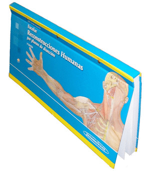 RECONSTRUCCIONES HUMANAS POR PLANOS DE DISECCION