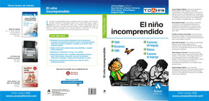NIÑO INCOMPRENDIDO, EL