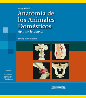 ANATOMÍA DE LOS ANIMALES DOMÉSTICOS. TEXTO Y ATLAS EN COLOR