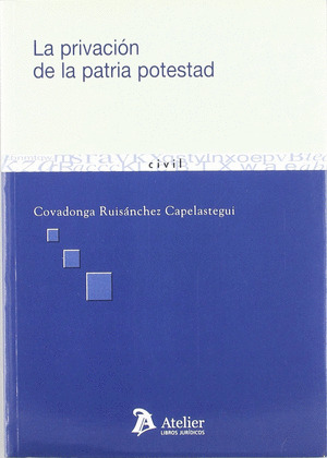 PRIVACION PATRIA POTESTAD