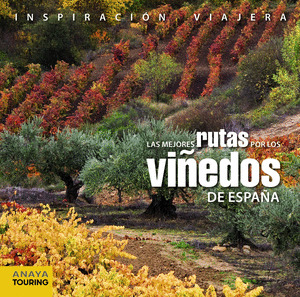 MEJORES RUTAS POR LOS VIÑEDOS DE ESPAÑA, LAS