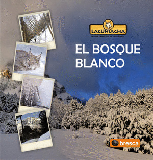 BOSQUE BLANCO, EL