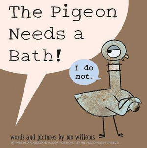 THE PIDGEON NEEDS A BATH!