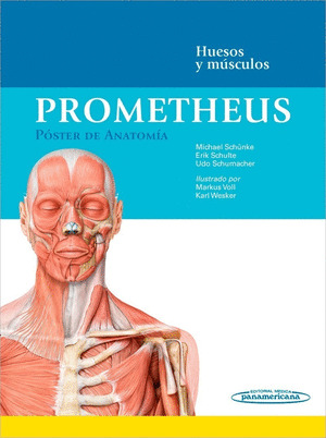PROMETHEUS. PÓSTER DE ANATOMÍA