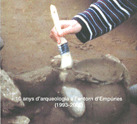 10 ANYS D'ARQUEOLOGIA A L'ENTORN D'EMPÚRIES (1993-2002)