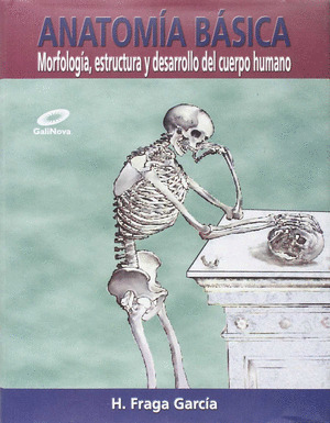 ANATOMIA BASICA