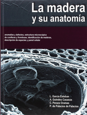 MADERA Y SU ANATOMÍA, LA