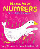 NAME YOUR NUMBERS
