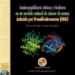 AMINOPEPTIDASAS SÉRICAS Y TISULARES EN UN MODELO ANIMAL DE CÁNCER DE MAMA INDUCI
