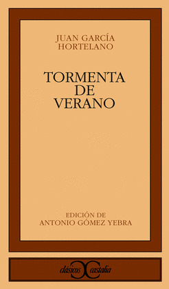 TORMENTA VERANO
