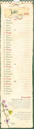 HIERBAS MEDICINALES