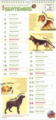 MI AMIGO EL PERRO
