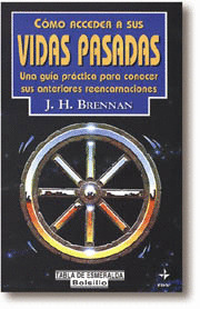 COMO ACCEDER VIDAS PASADAS