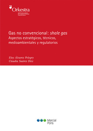GAS NO CONVENCIONAL: SHALE GAS.