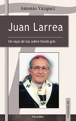 JUAN LARREA. UN RAYO DE LUZ SOBRE FONDO GRIS/31