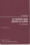 PUENTE QUE CRUZA LA LUNA