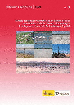 MODELO CONCEPTUAL Y NUMÉRICO DE UN SISTEMA DE FLUJO CON DENSIDAD VARIABLE: SISTE