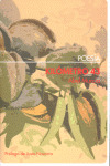 KILOMETRO 43