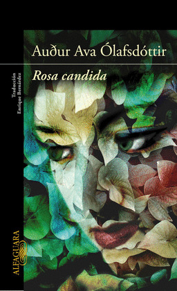 ROSA CANDIDA (DIGITAL)