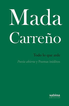 TODO LO QUE ARDE