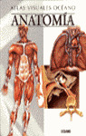ANATOMIA