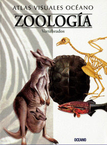 ATLAS VISUALES: ZOOLOGIA VERTEBRADOS