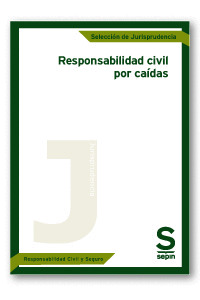 RESPONSABILIDAD CIVIL POR CAIDAS