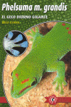 PHELSUMA M. GRANDIS GECO DIURNO GIGANTE