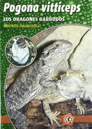 POGONA VITTICEPS: LOS DRAGONES BARBUDOS