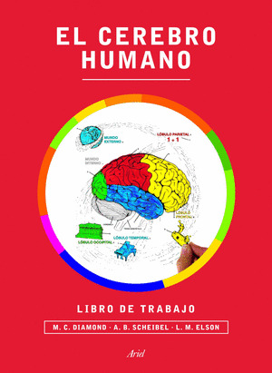 CEREBRO HUMANO, EL (LIBRO DE TRABAJO)