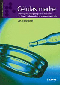 CELULAS MADRE