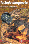 TESTUDO MARGINATA TORTUGA ALMENADA