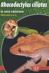 RHACODACTYLUS CILIATUS GECO CRESTADO
