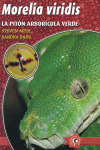 MORELIA VIRIDIS PITON ARBORICOLA VERDE