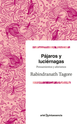PAJAROS PERDIDOS