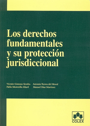 DERECHOS FUNDAMENTALES Y SU PROTECCION JURISDICCIONAL, LOS (1ª EDICION 2007)