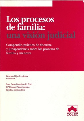 PROCESOS DE FAMILIA: UNA VISION JUDICIAL. (1ª EDICION 2007)