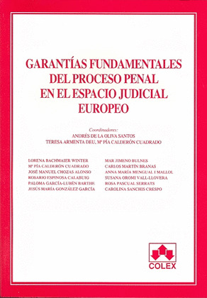GARANTIAS FUNDAMENTALES PROCESO PENAL