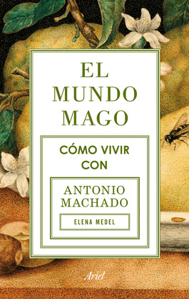 MUNDO MAGO, EL