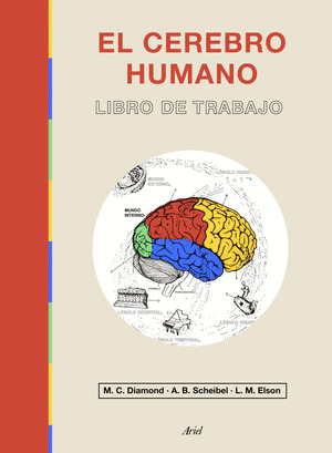 CEREBRO HUMANO, EL