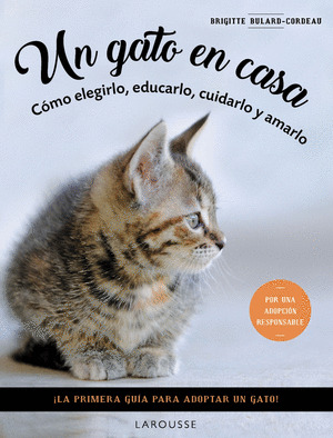 GATO EN CASA, UN