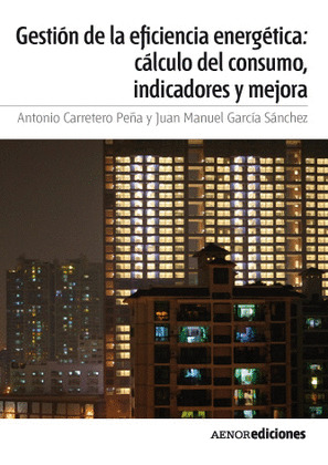 GESTIÓN DE LA EFICIENCIA ENERGÉTICA