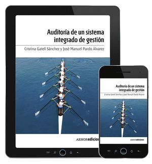 AUDITORÍA DE UN SISTEMA INTEGRADO DE GESTIÓN