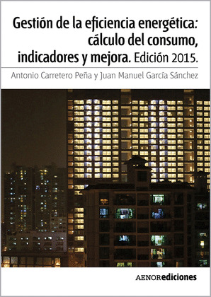 GESTION DE LA EFICIENCIA ENERGETICA: CALCULO DEL CONSUMO, INDICADORES Y MEJORA.