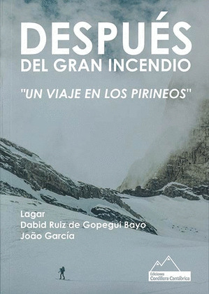 DESPUÉS DEL GRAN INCENDIO
