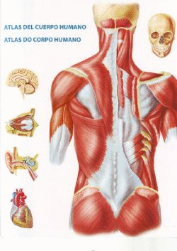 CORPUS HUMANUM. ATLAS DEL CUERPO HUMANO - ATLAS DO CORPO HUMANO