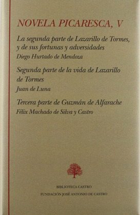 NOVELA PICARESCA V