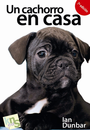 CACHORRO EN CASA, UN