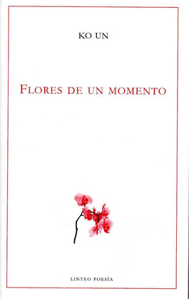 FLORES DE UN MOMENTO